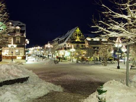 Stadtwohnung Schneeflocke Winterberg Buitenkant foto